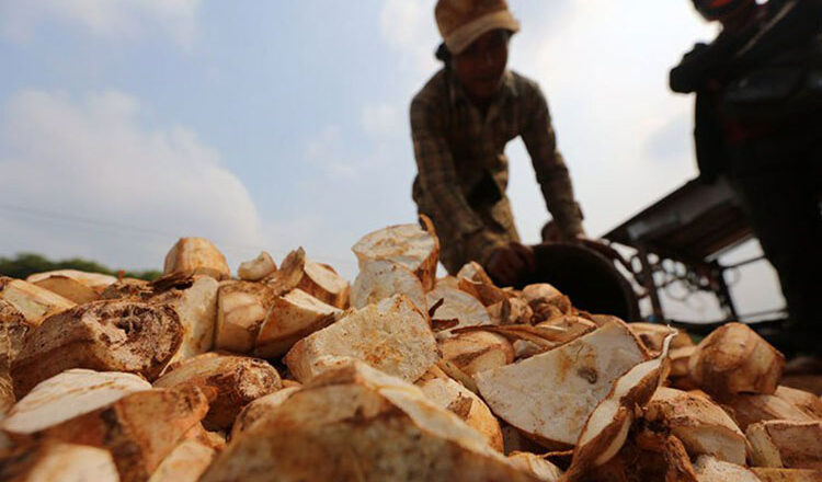 Kingdom’s trade with ASEAN shoots up to nearly $11B